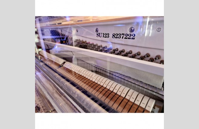 Steinhoven SU123 Crystal Upright Piano - Image 5